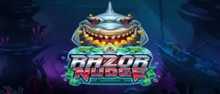 Razor Nudge